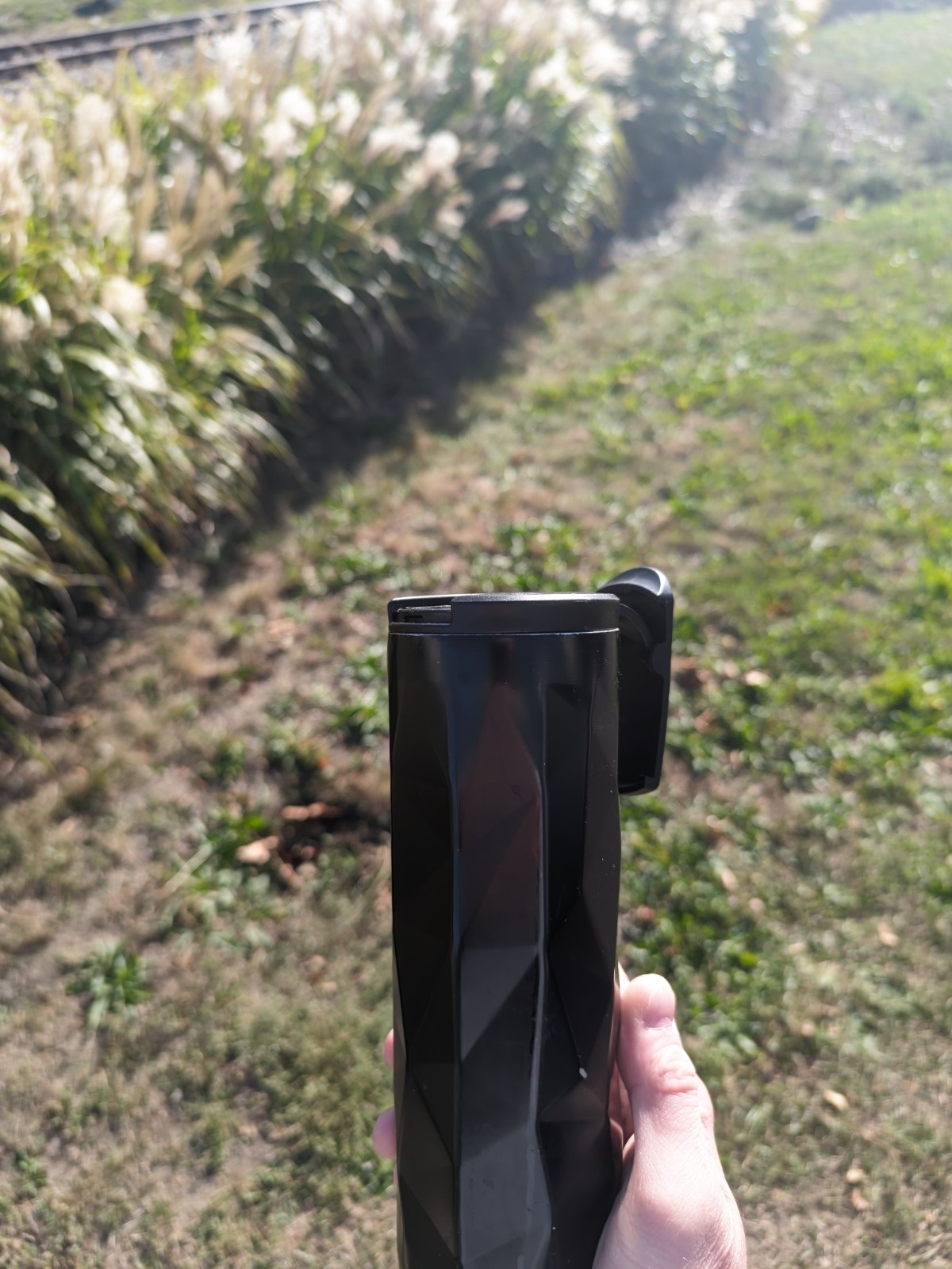 25462f85-bbdd-4b09-a6e2-d8d2d2cbcbea