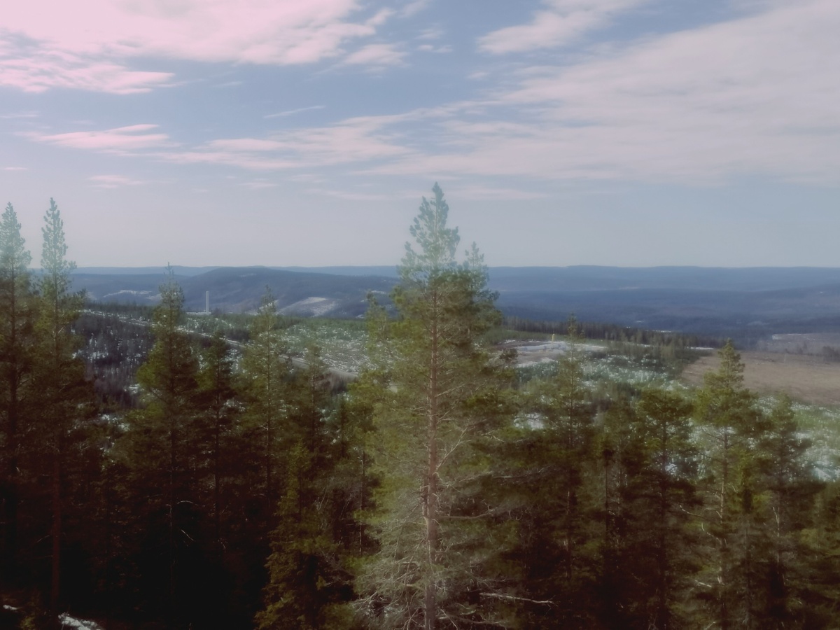 245d746d-25a1-49c4-aea0-d2637f0b2b76