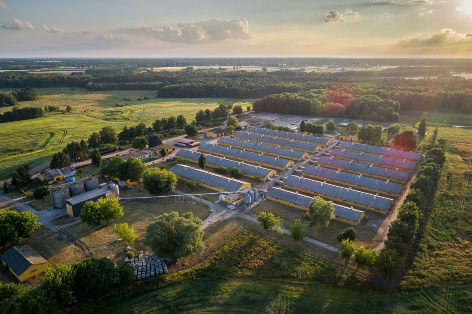 Branżowy paradoks. Fatalna wartość dodana i rekord wpływów z eksportu żywności