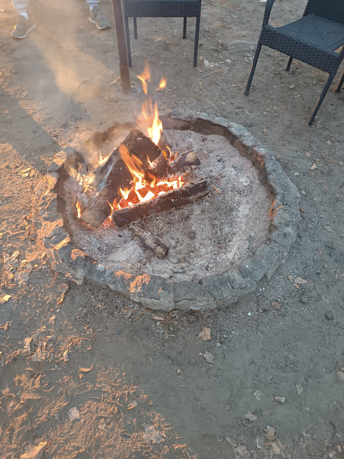 0f252194-bfc3-4fd5-81e3-04760bdc235f