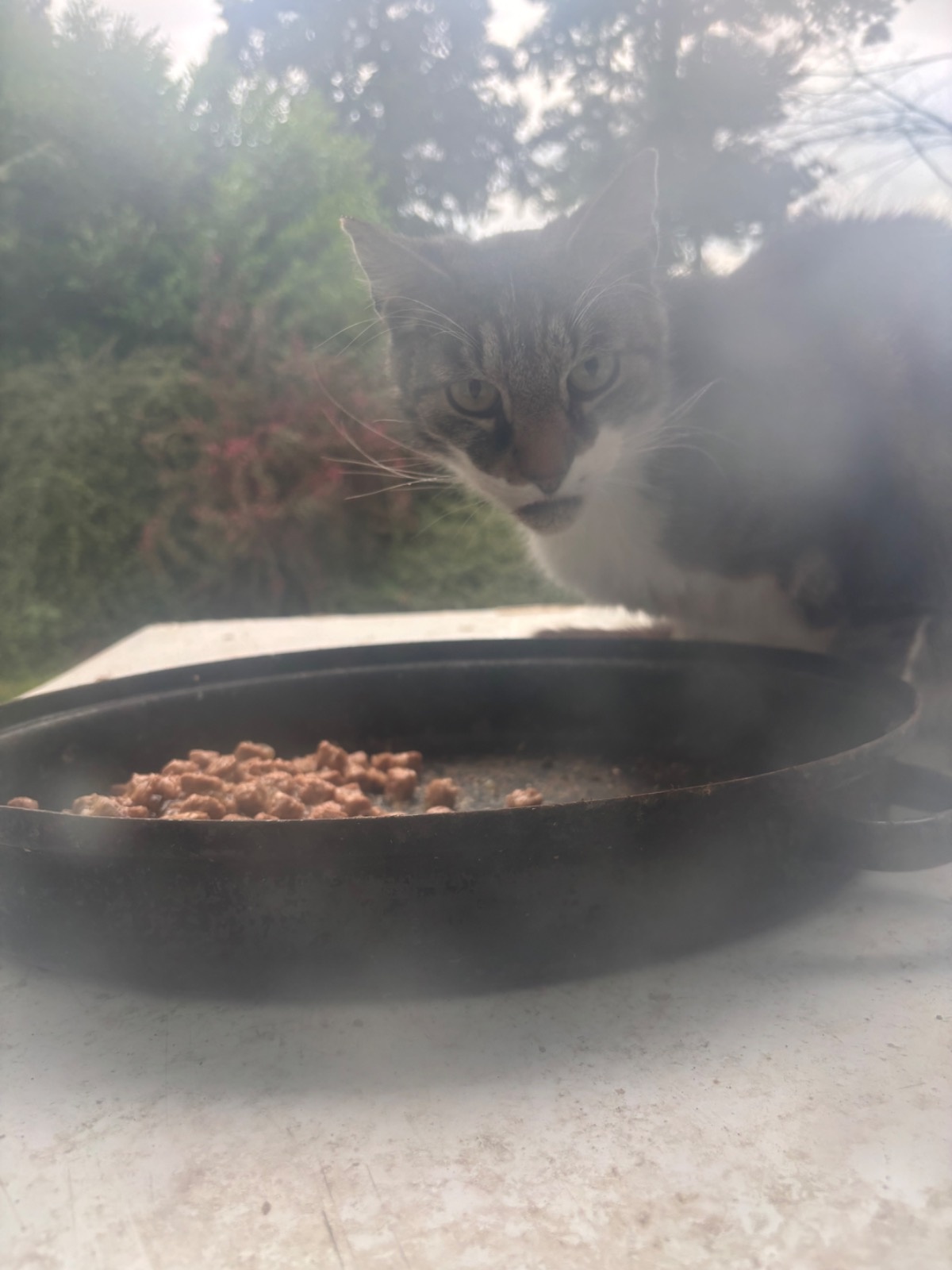 42098474-5f0f-48cf-9cb2-48ca705b7838