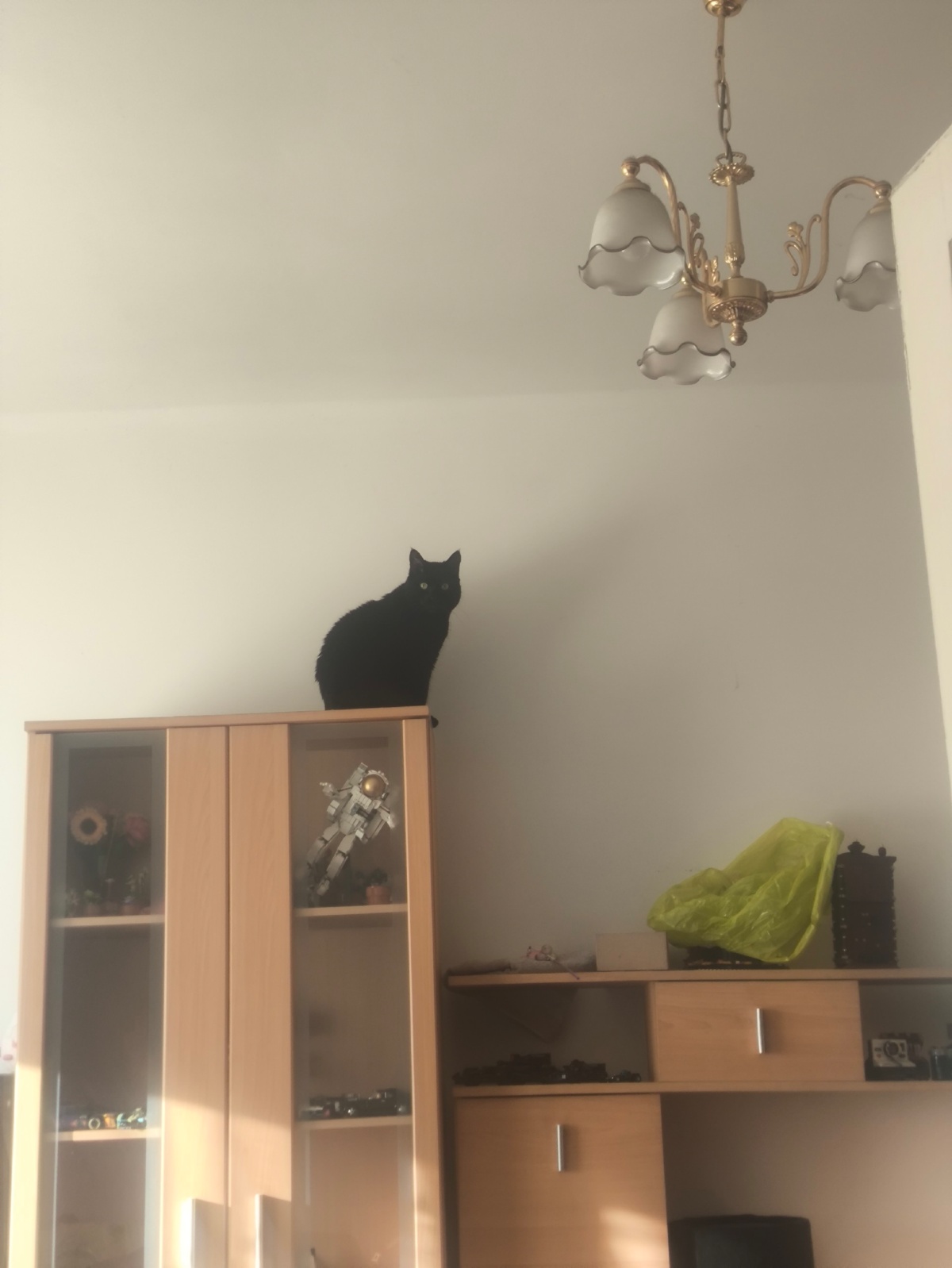 04026c2a-26cc-457b-a5bb-29e4bae4b766