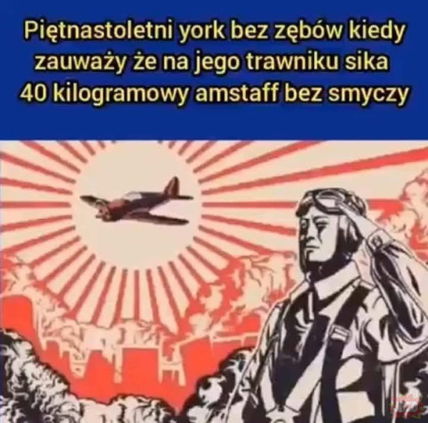 0695fc09-8dd6-43ad-b56c-ba730d2827b7