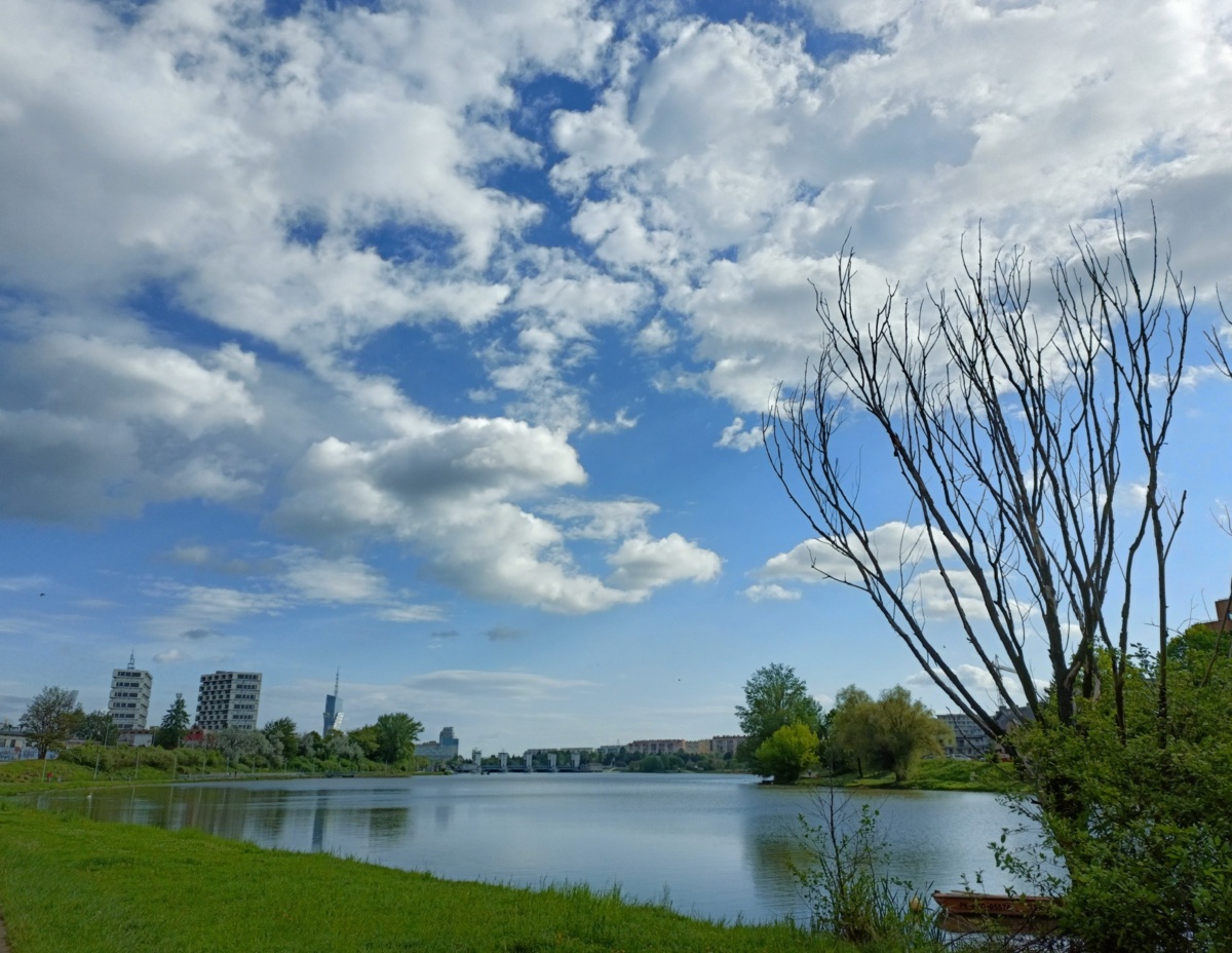 a32a963a-73a7-4aa9-800a-e0908f3a8a84