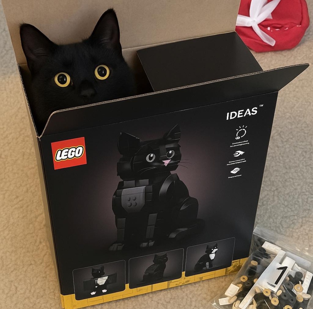 780522d8-e09f-4bbe-bb6b-02439255c8b2