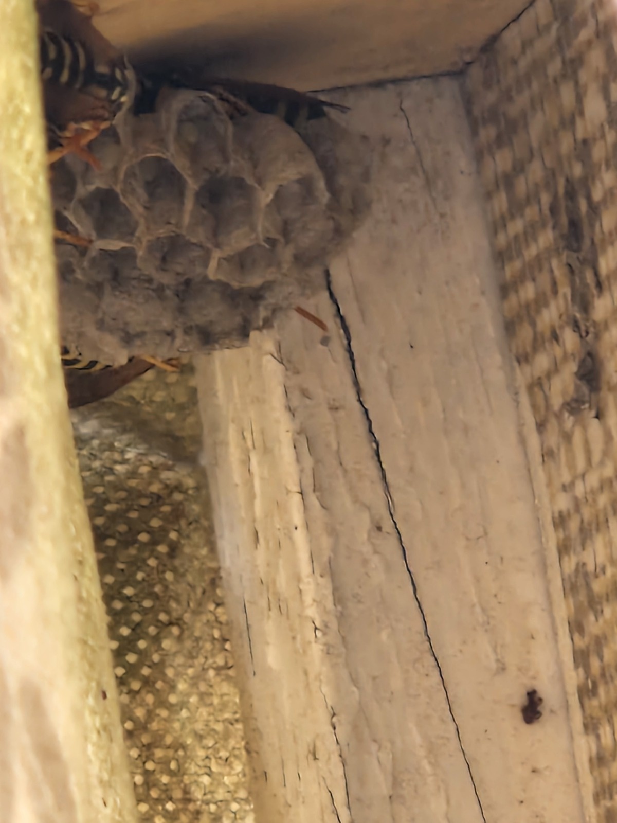 6a46a51b-9e76-4a99-ab84-299367ccc5bc