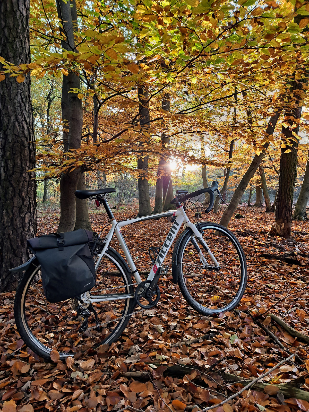 fdb6f3ab-7654-4602-b7b7-85344ff7c86d