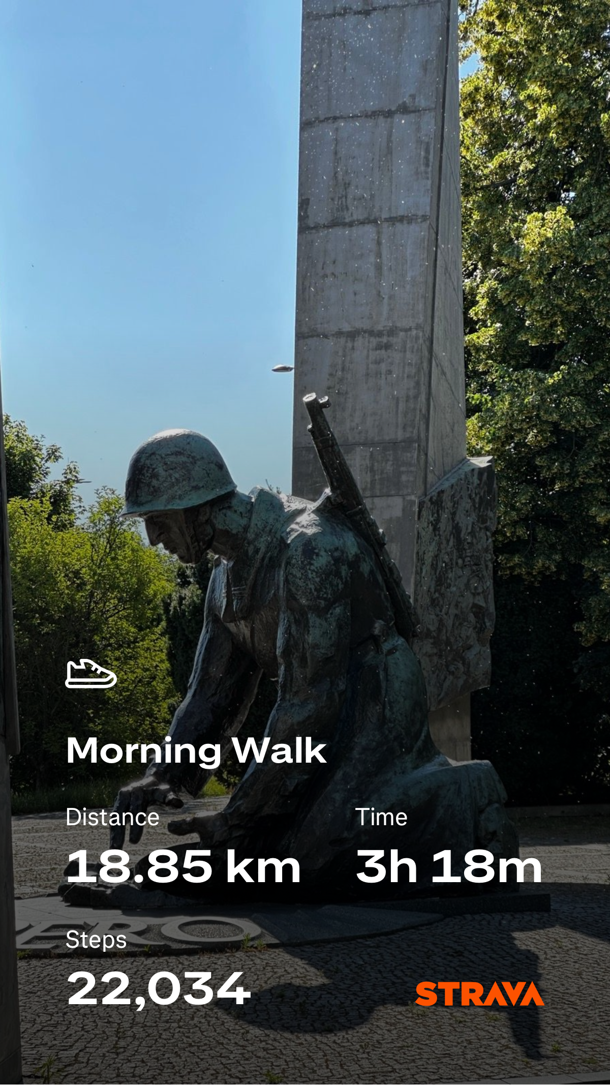 c8f39d12-fa66-498b-9dc7-78ae1957341e