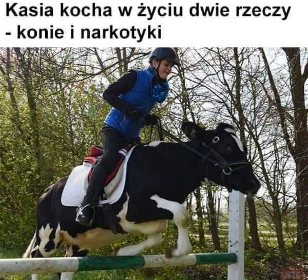 16675b58-6ffb-498a-80e5-81ff6c73d080