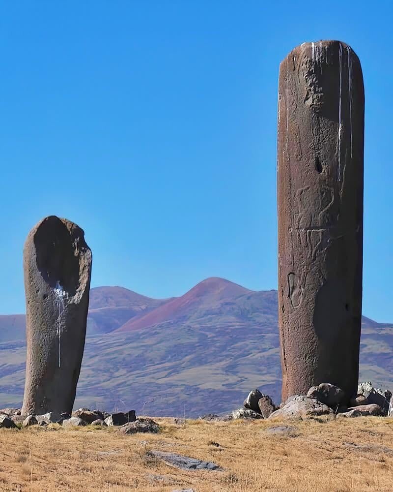 379ee8c1-ca08-4a14-9e67-e4ee163b1ea9