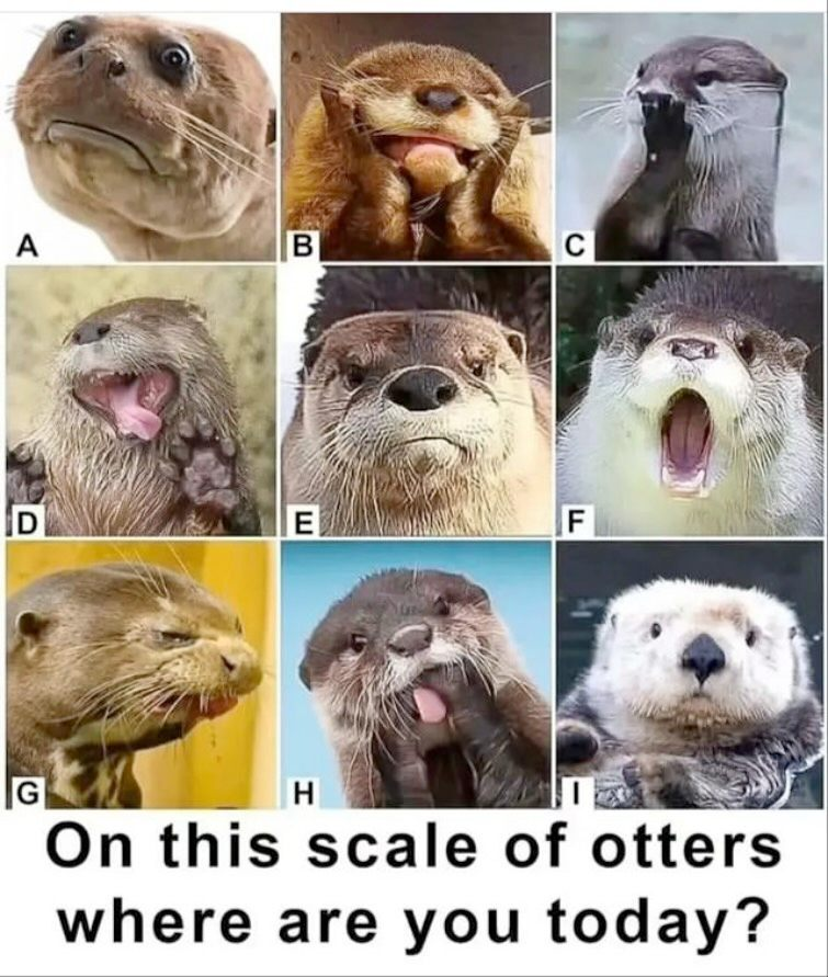 a64ca698-9fa0-4122-ae4f-96a115ecbf0d