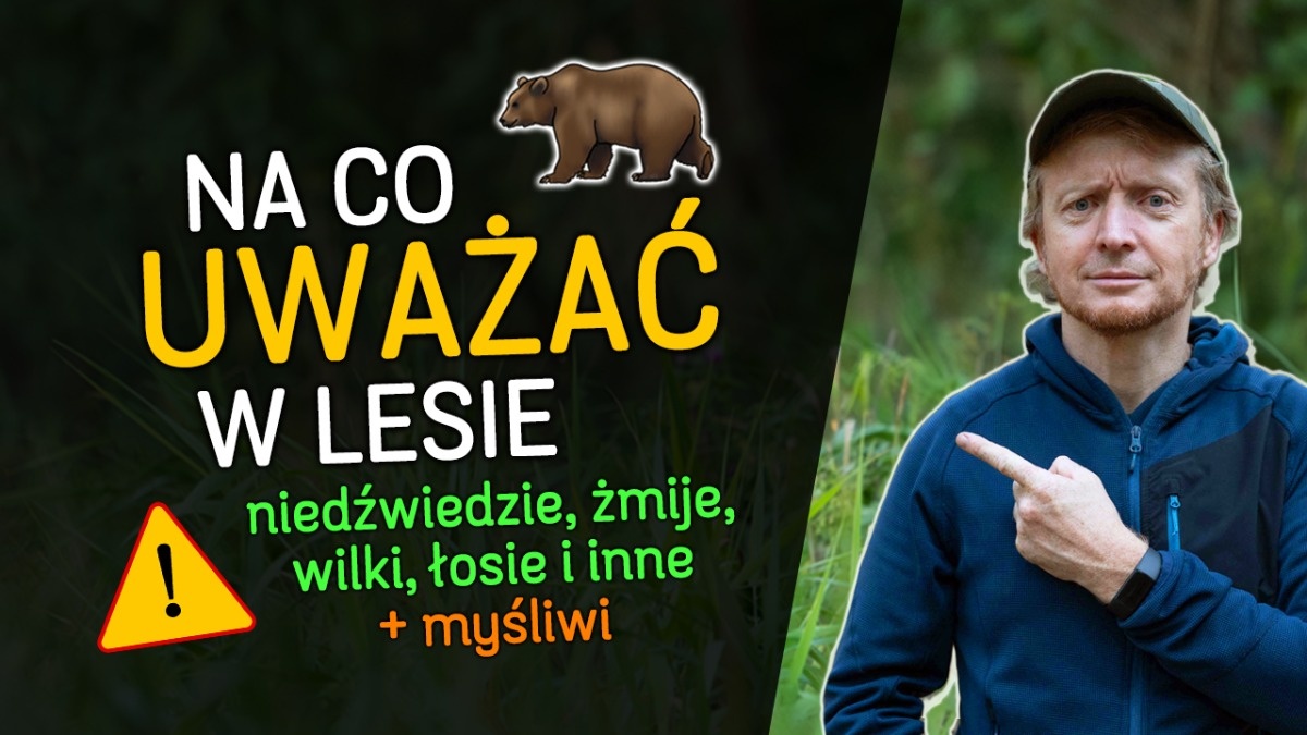Dzikie zwierzęta, myśliwi - obawiać się czy niekoniecznie?
