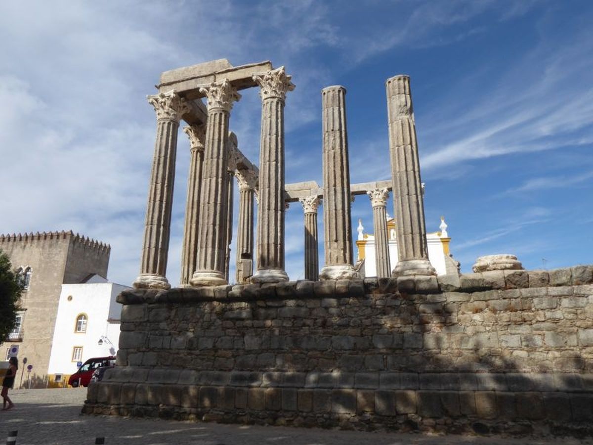 0d21f19e-48e7-4393-99c4-efbd4522909d