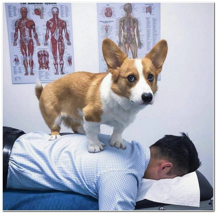 fbe343f4-61ec-4e84-8aae-6c26f528d9c6