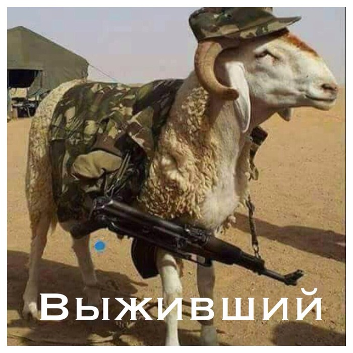 06d6d4df-fc69-431d-b0fa-18c6210f2f26