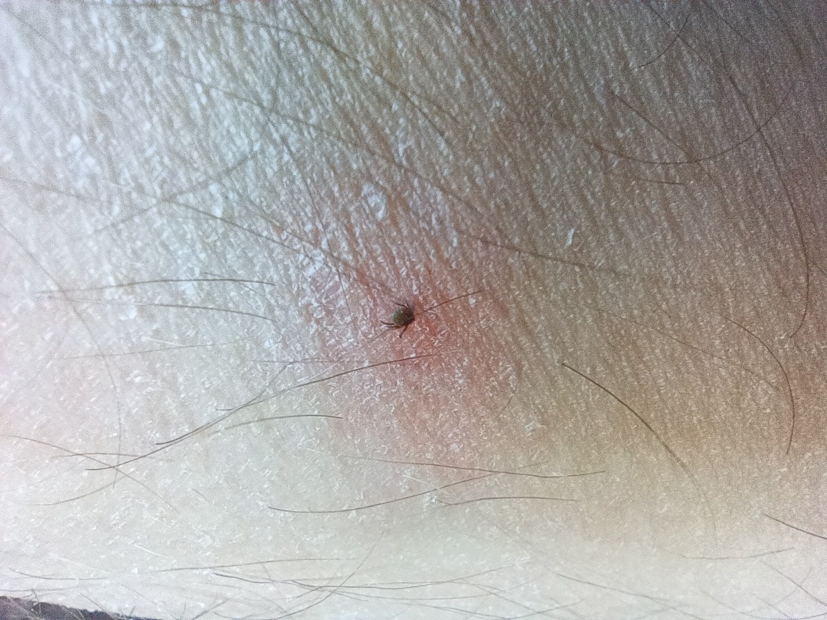 8b4acb24-e359-4525-abfc-8fc855afa24f