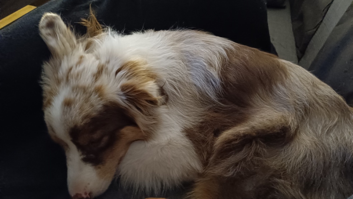 1c07a347-76f1-4e65-836e-bcfde402be2b