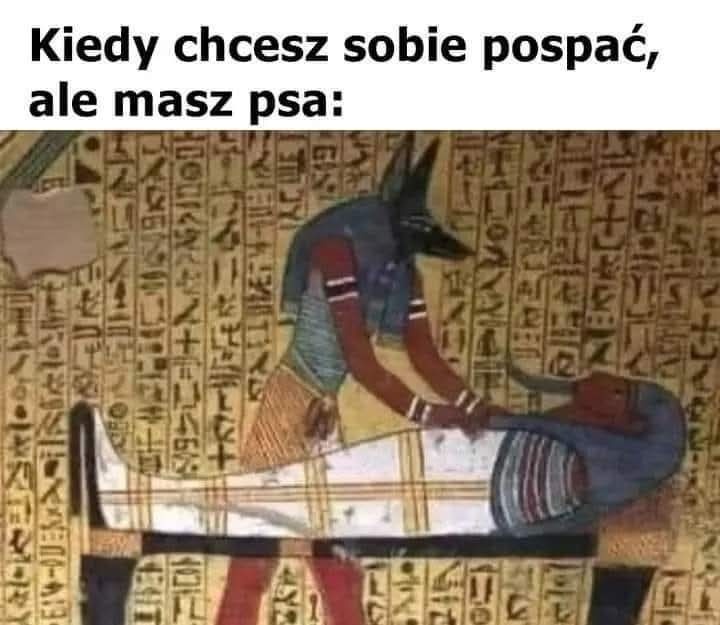 f9447cec-f565-4e17-a7f6-d16d8da9418f