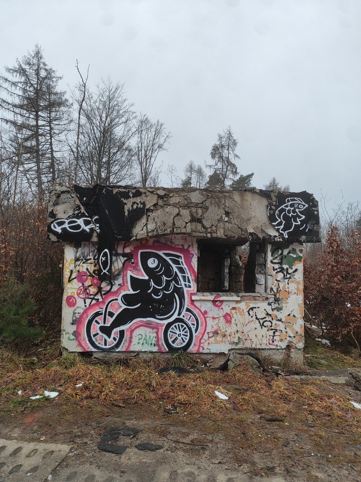 8e0affde-1d27-43c5-972b-65882d77ea51