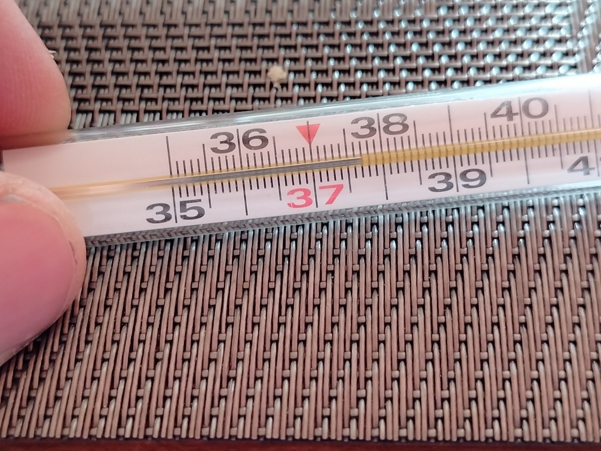 ced50c52-241a-4b16-a4e0-482cc8107998