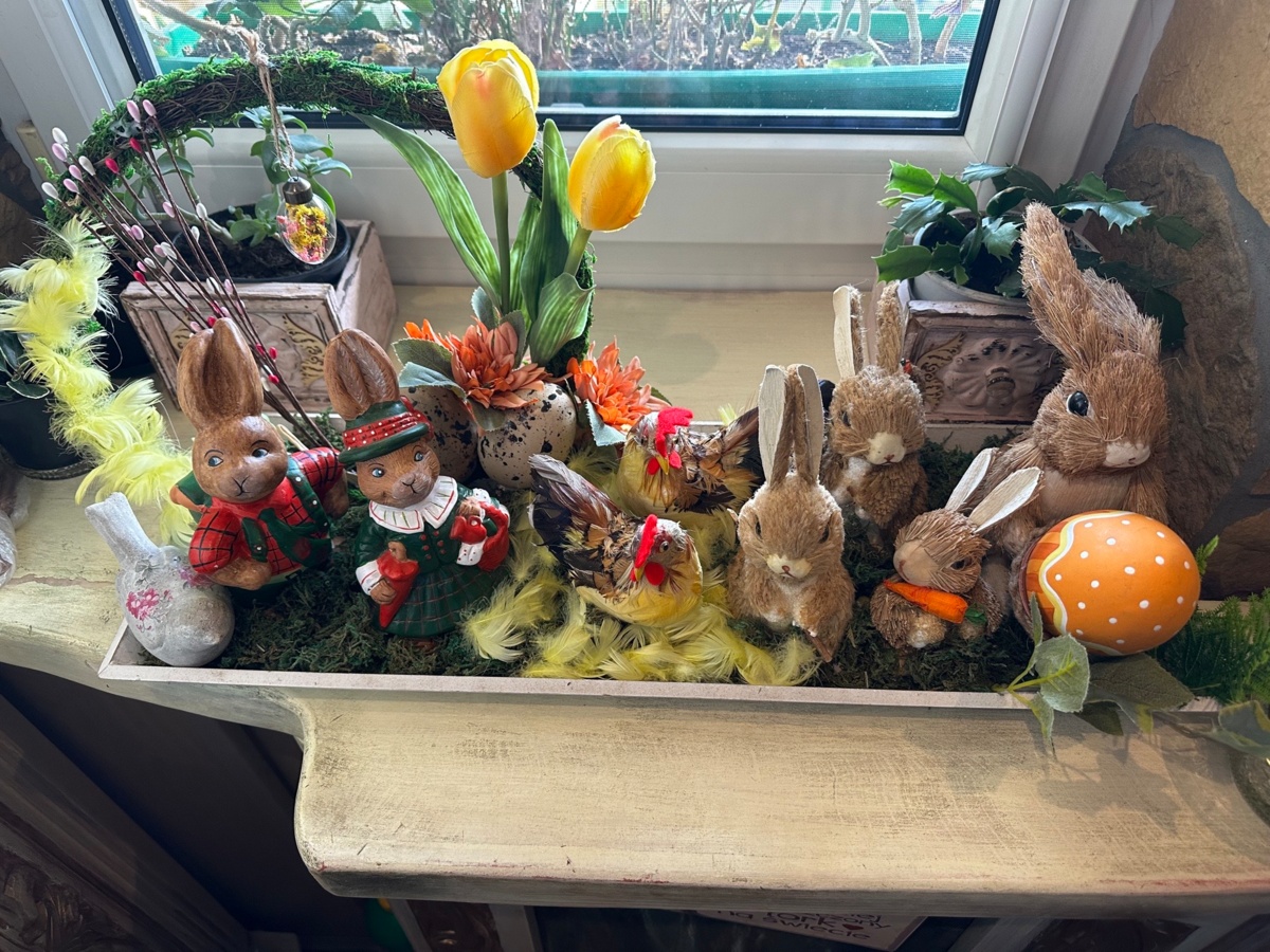 000309d7-0b3c-47ff-aaf1-6d98b2d5df45