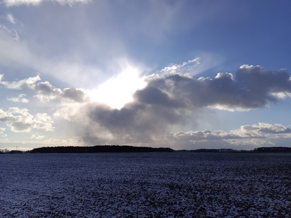 ee1a7576-aa2d-4541-84aa-5d9296e80f04