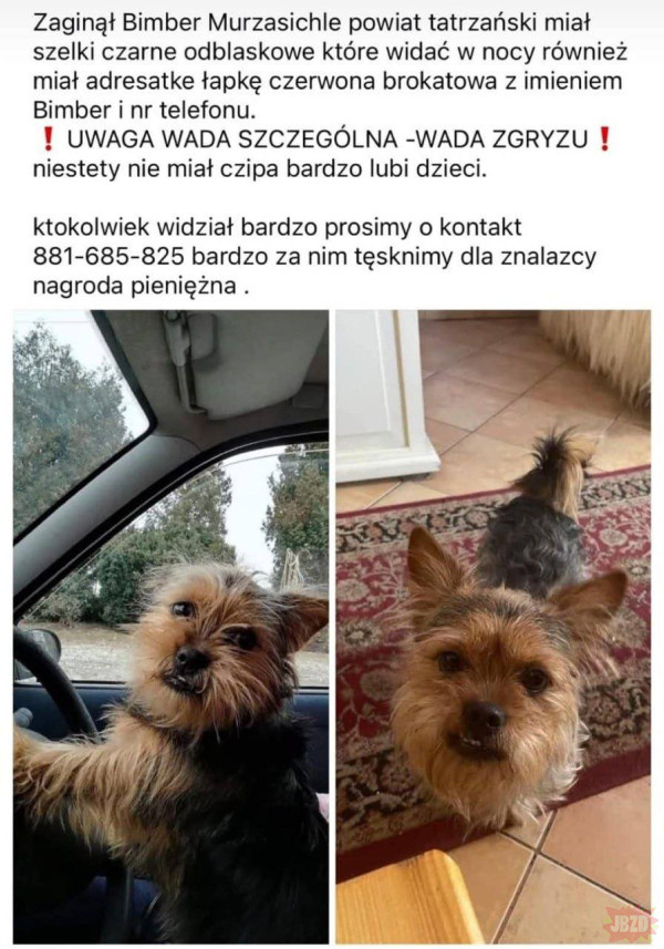 566936e2-6bcc-4ea4-afd6-ff77e0f0ac23