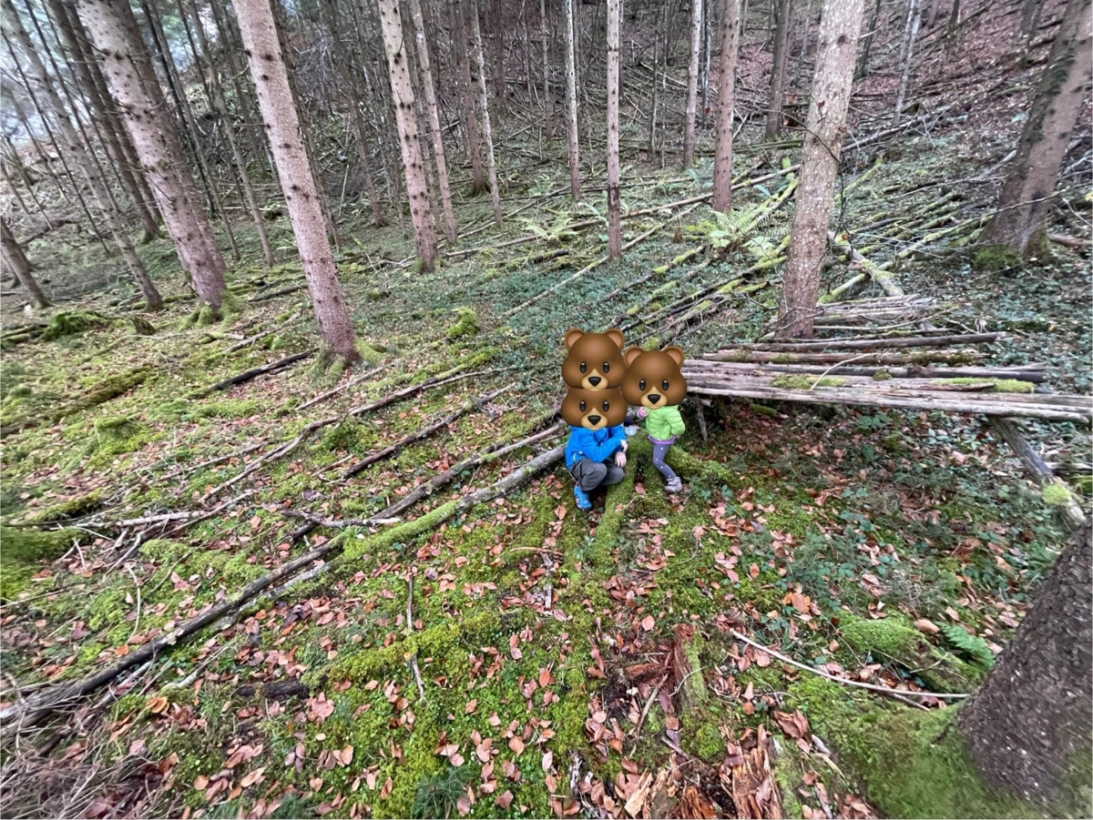 75c1c0ea-a97f-4070-8fcc-5cd8d44e4b91