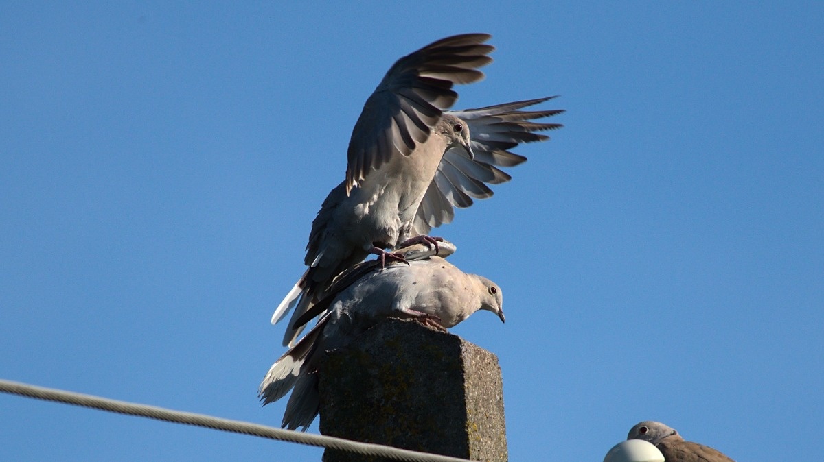 045cdde4-74fc-45be-9971-c2b756f7a166