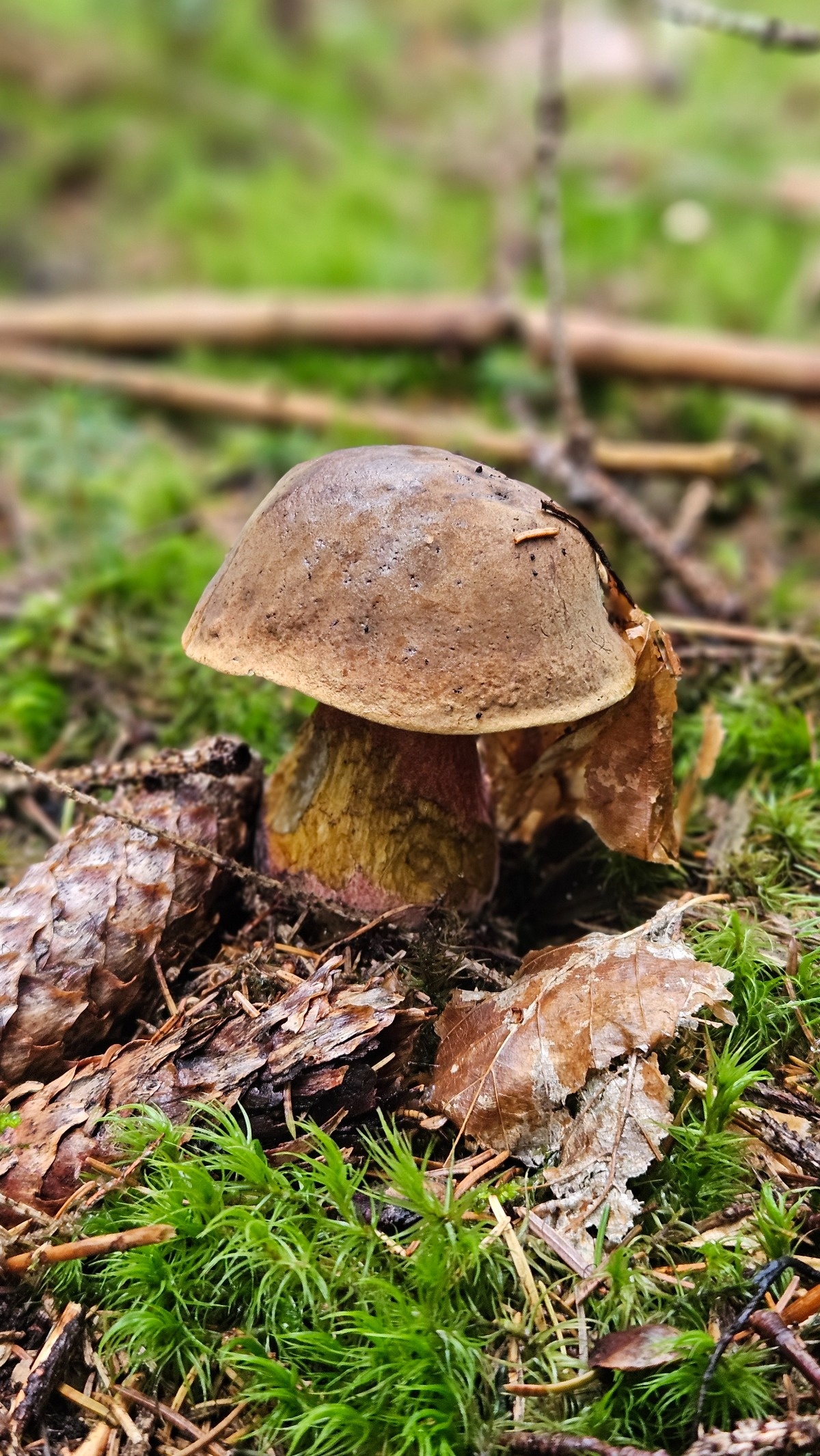 b62ac050-2ed5-4261-9e8c-779848c1c423