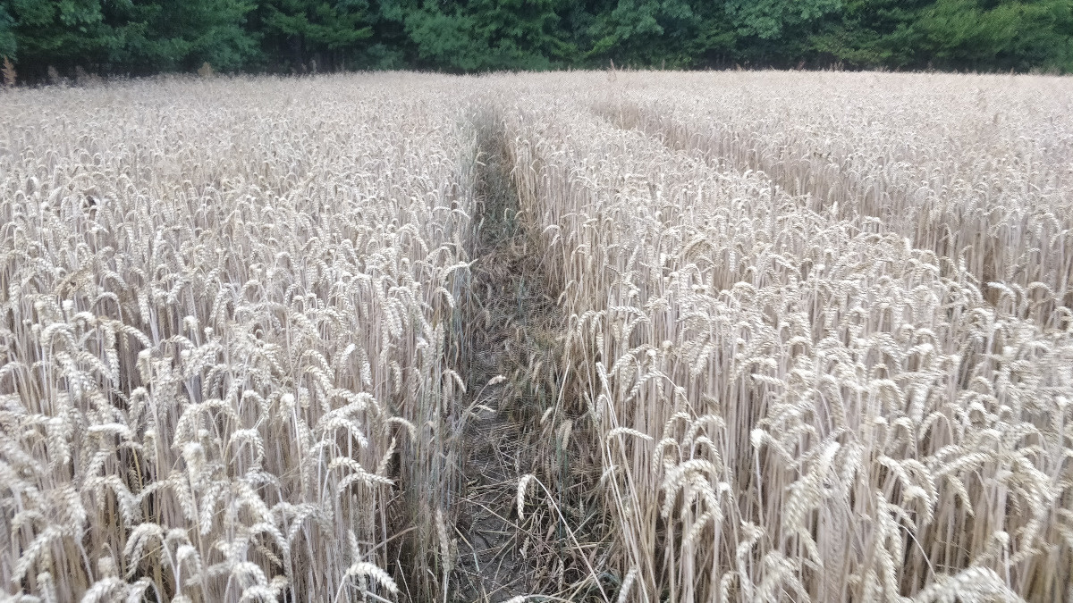 a86fa1e2-ad07-445a-82f3-5481481c9412