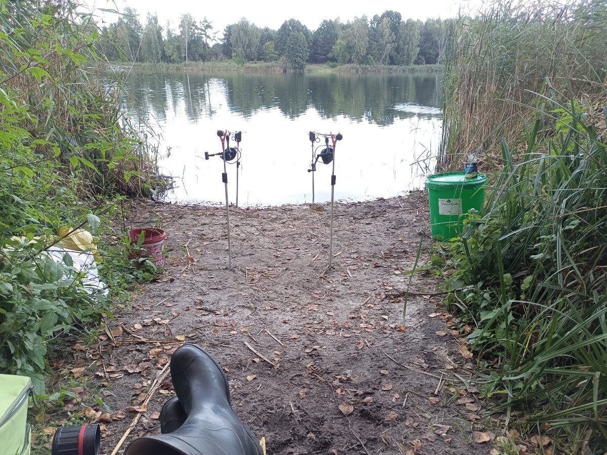 1ba73cb4-f077-4714-a93a-a3b0f963f57e