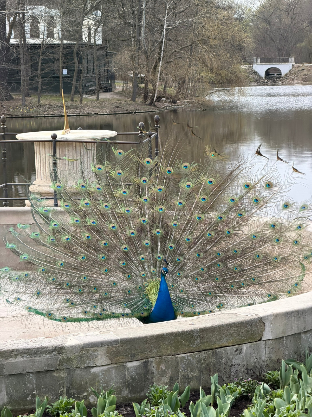 6784e260-e968-4468-a936-c6fd47feecbc