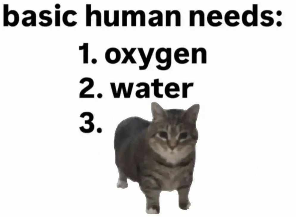 0f558d32-7ee3-4825-815a-d67a66800d3b