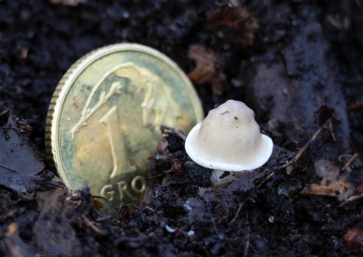 6b6c51a3-6395-478a-bb7f-4c2469446a6e