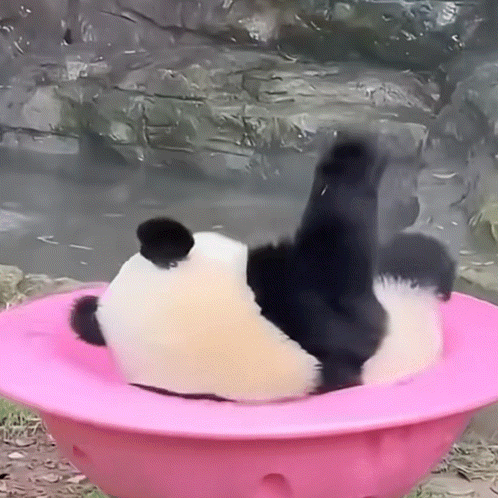 0c7c2a42-3bee-4119-9ef7-0599c49b2f0a