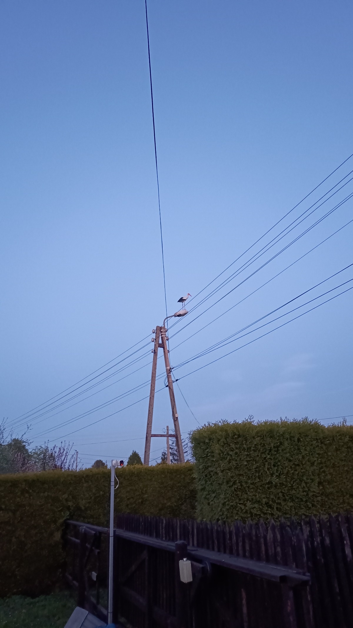 4ae05949-68ec-4be9-baef-aeb61ff354b6