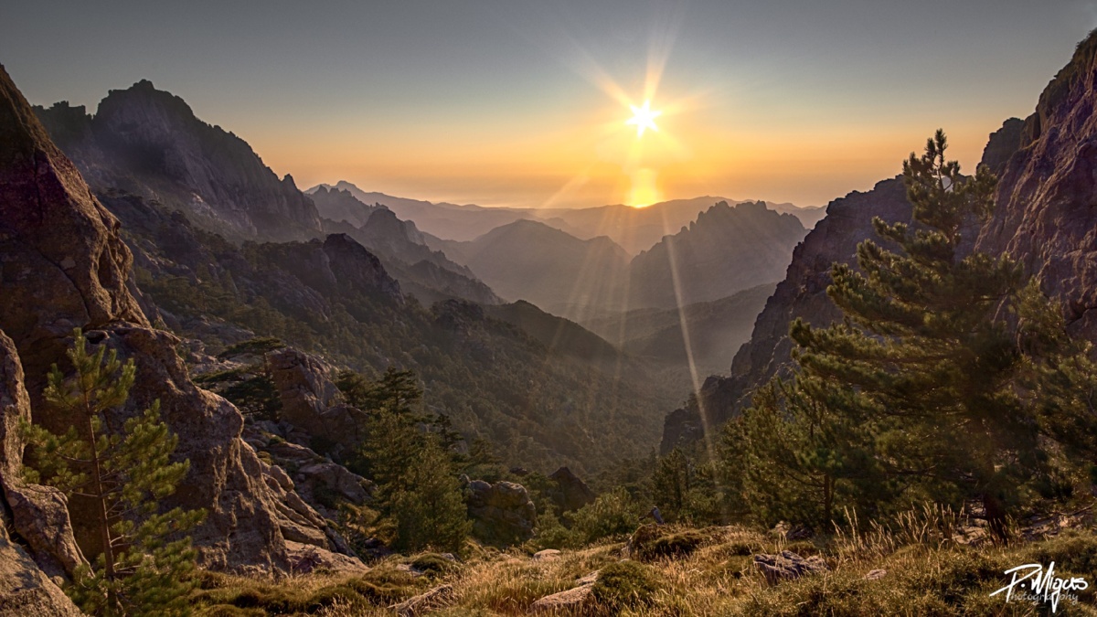 9630f0ed-4c9c-4e5c-9cc4-9328d948ad79