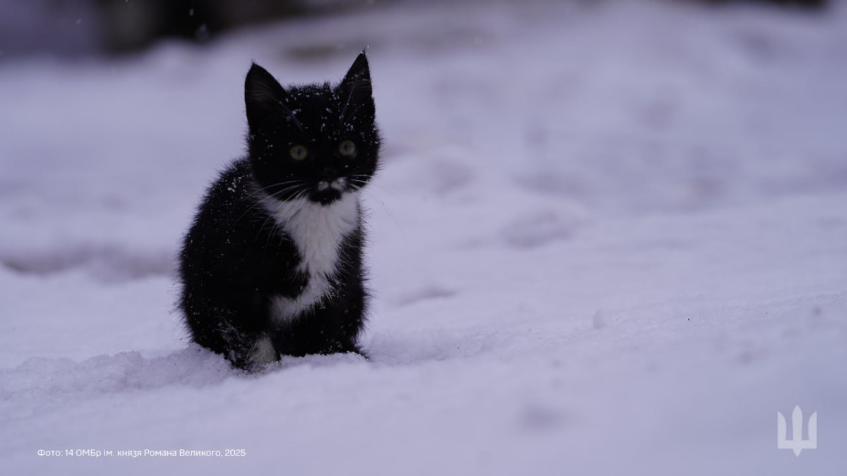 5d6e7b63-8895-447f-9e39-2eebc78d5597