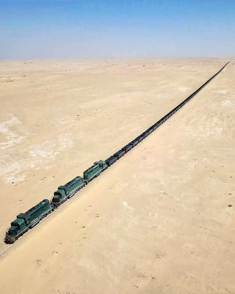 1e611f8f-9260-4afa-ba1a-1a8709a9184b