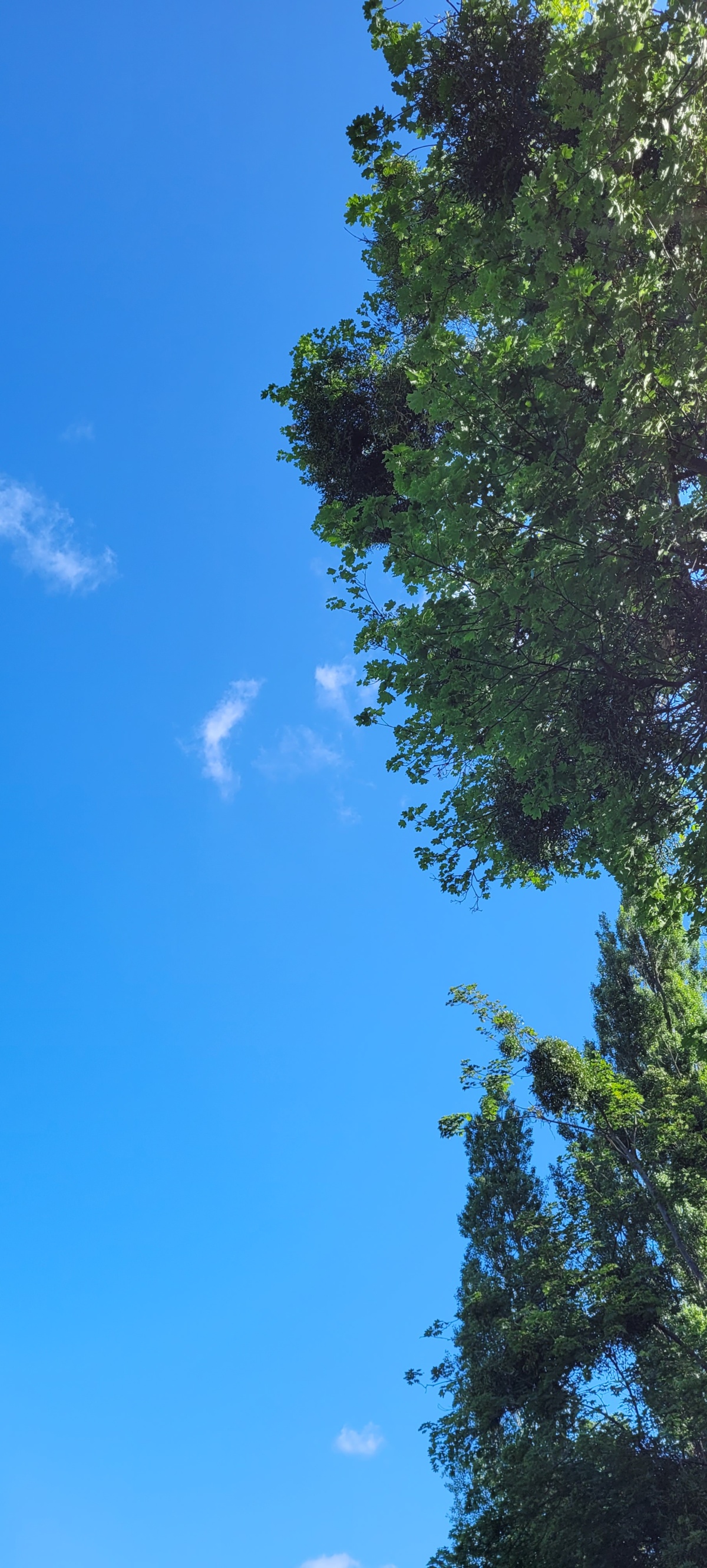 f2c14ad3-d15e-4503-87c7-d1b81ed64456