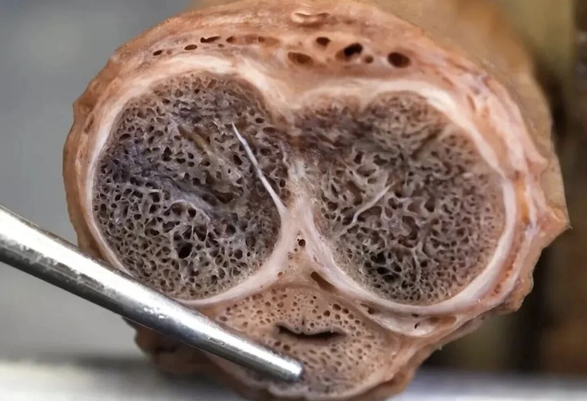 c7c91646-2d11-4bfe-859a-9107b2037f25