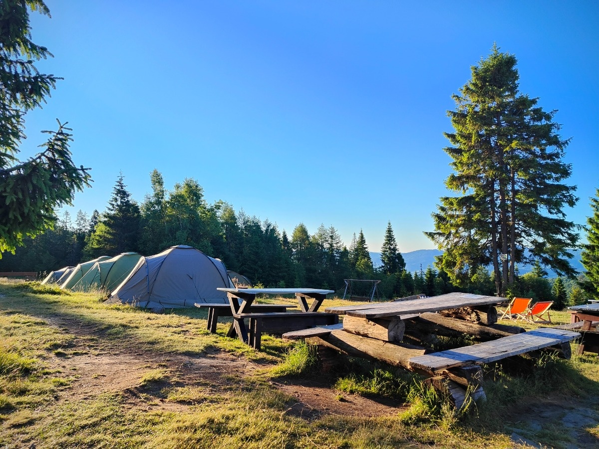 2f26e35d-aa49-4701-8704-167338ab1ec0