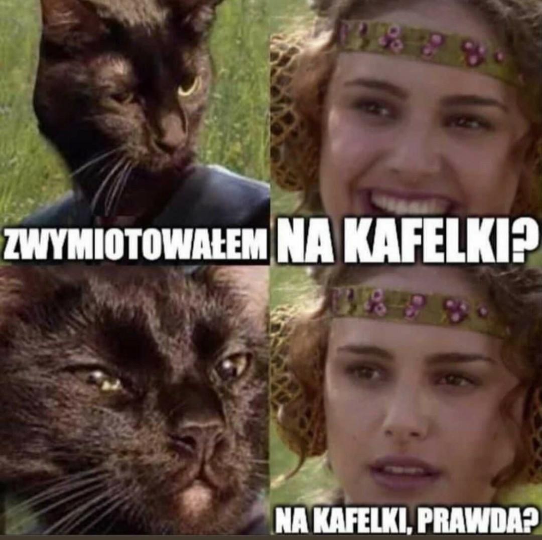 cdc74957-1d3c-44b9-8128-6423ff2f7a2a