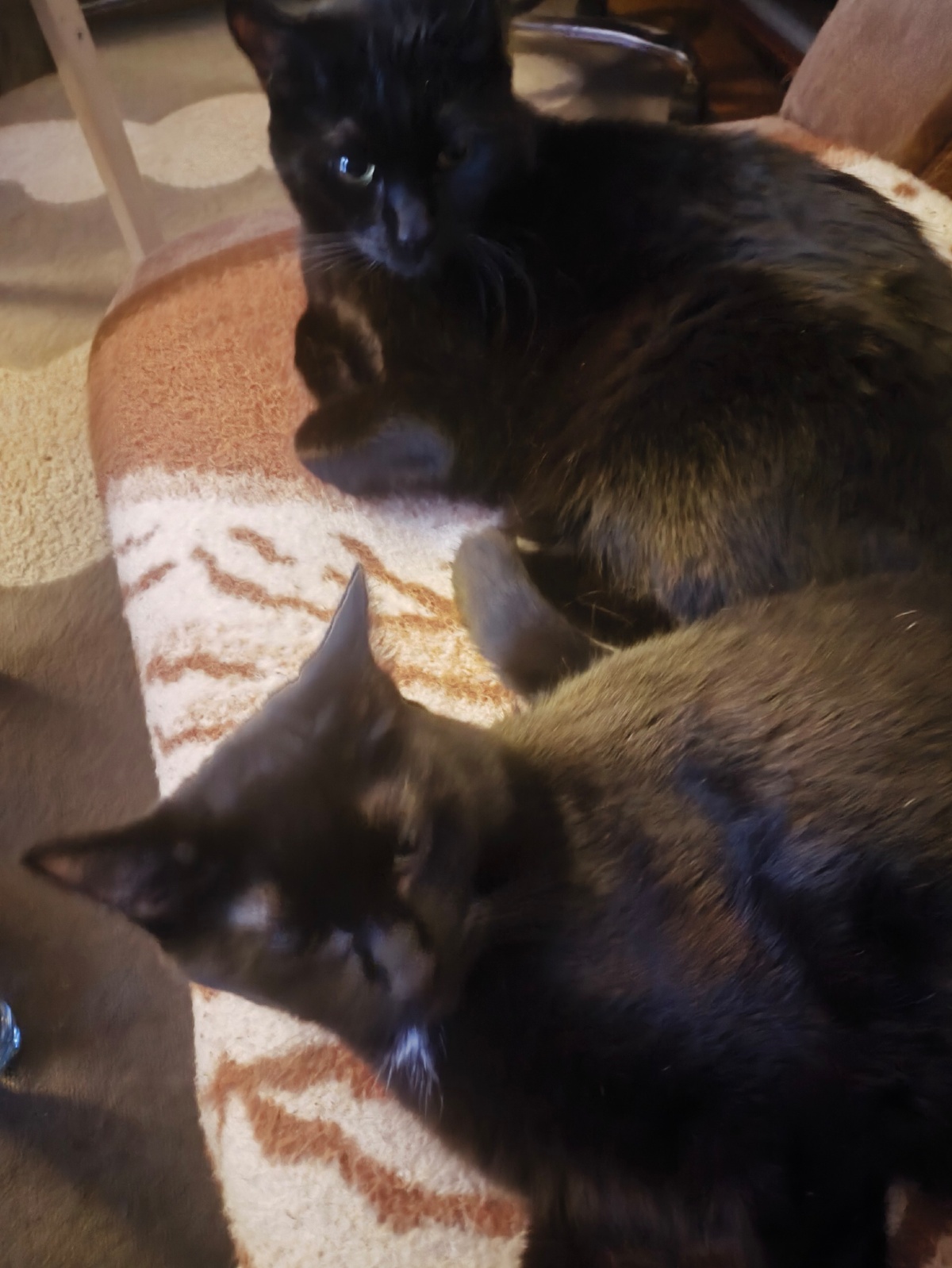 c9a968ed-3315-4ebc-96e5-f89ae470d7b8