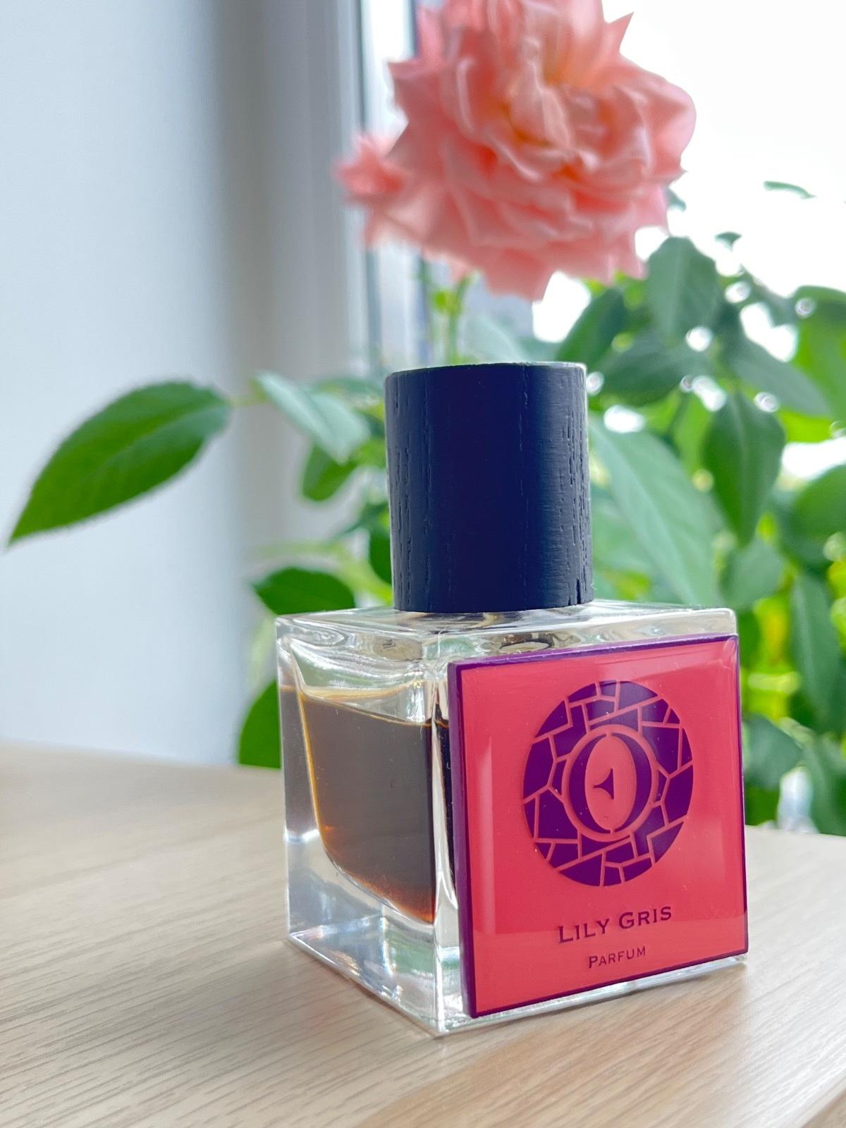 b965aff7-8cca-4c62-8cf6-db8296ba0c68