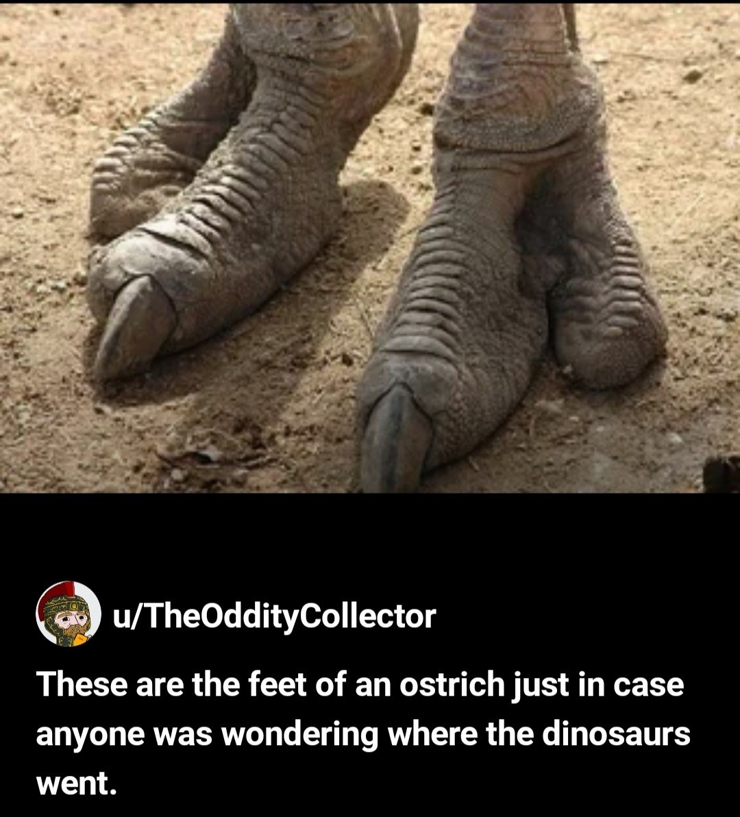 aa7fc31e-cd1d-4992-9264-c68e83f6ed8b