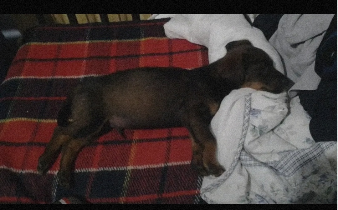 68c0eaca-502e-467e-b181-e6fa6a74ddd4