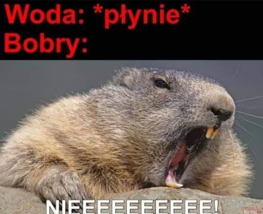 0800e834-ba21-4a14-9a58-56d5ea355d9d