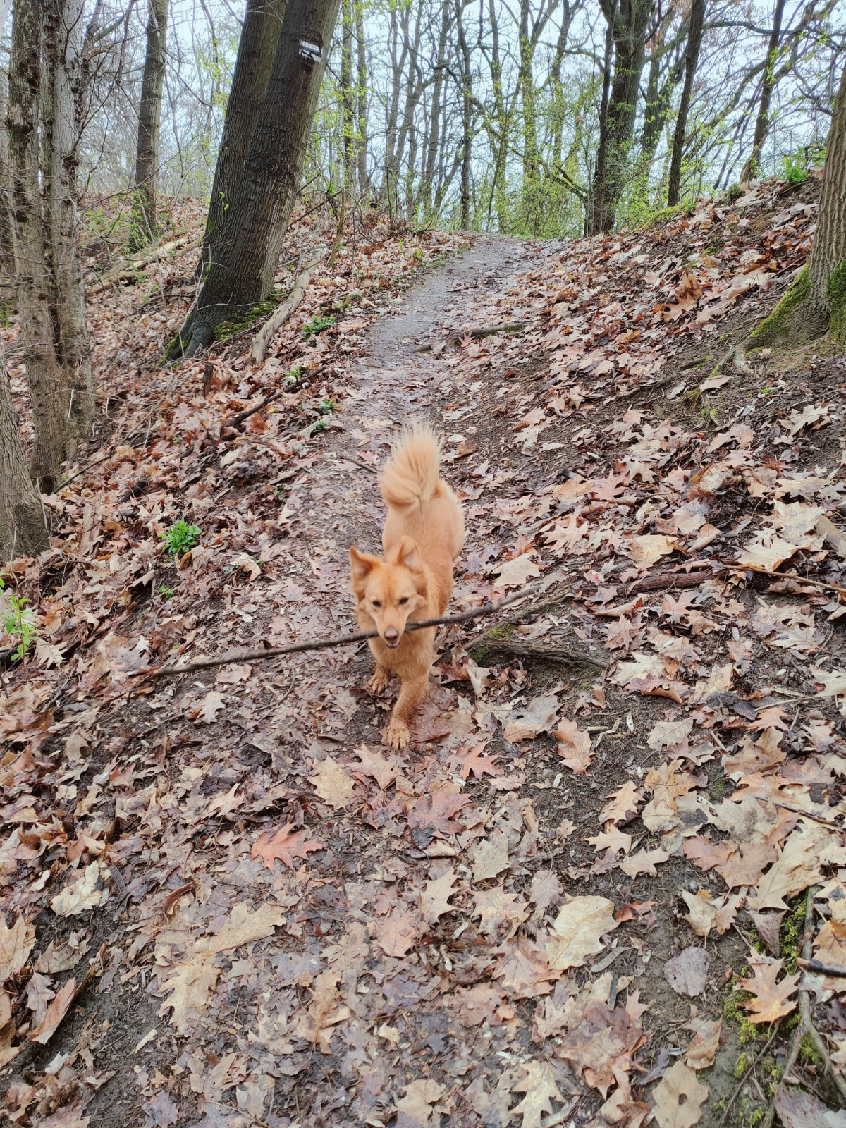 82cfcbbe-e48d-4e72-a0d1-8701fcfa1cd0